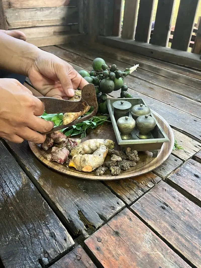 Proses herba Y'Herbs — dipotong dengan kacip menggunakan kaedah tradisional